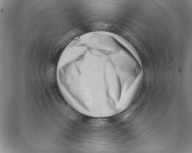 X0000088360378200706191224