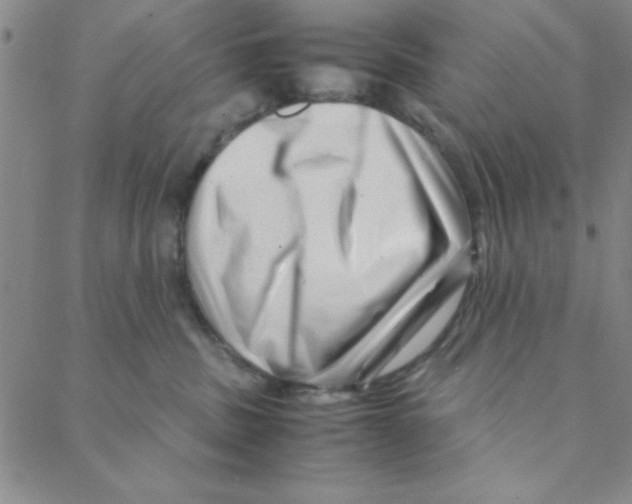X0000088360379200706191224