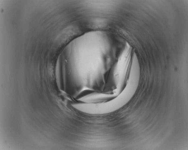 X0000088360380200706191224