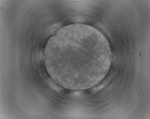 X0000088360382200706191224