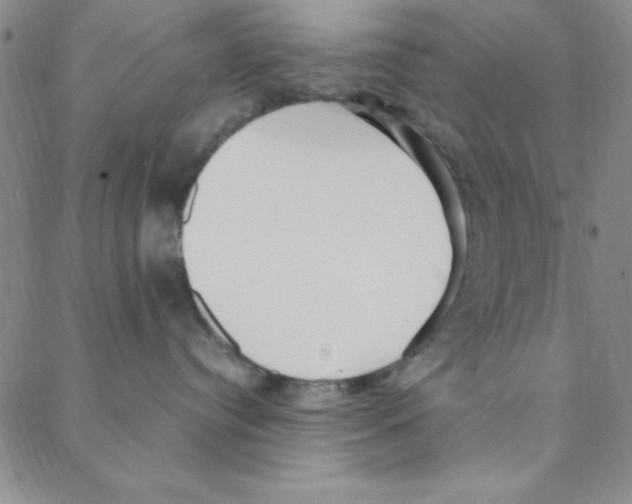 X0000088360384200706191224