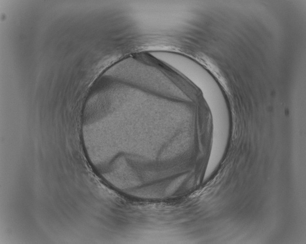 X0000088360385200706191223