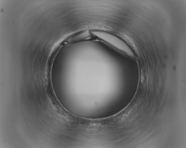 X0000088360388200706191223