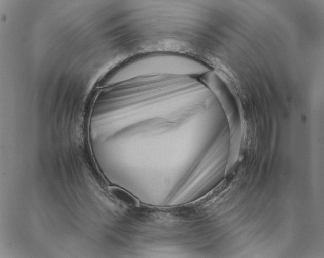X0000088360392200706191223