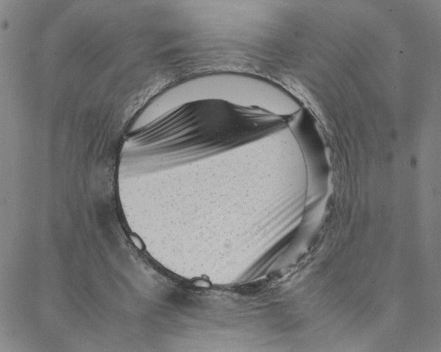 X0000088360393200706191223