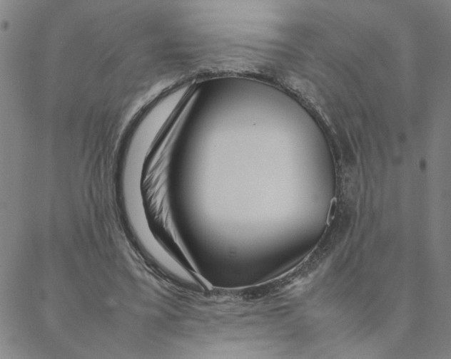 X0000088360395200706191223