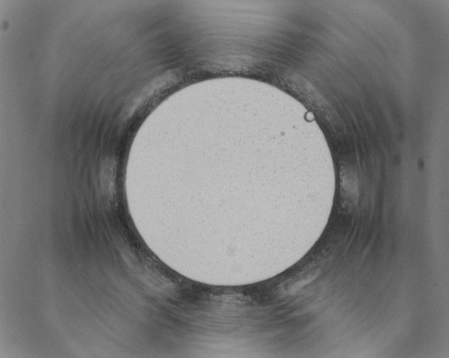 X0000088360396200706191223