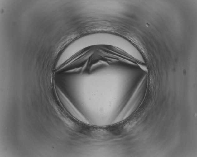 X0000088360397200706191223