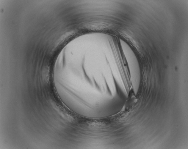 X0000088360400200706191223