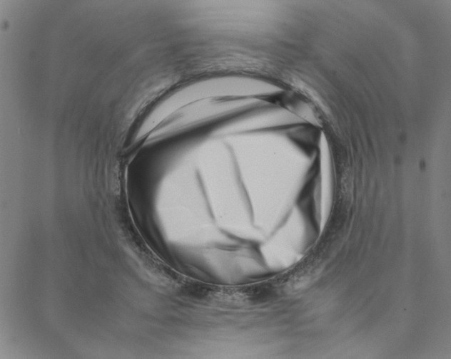 X0000088360403200706191223