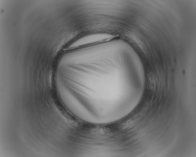 X0000088360404200706191223