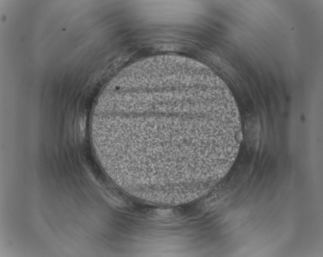 X0000088360406200706191223