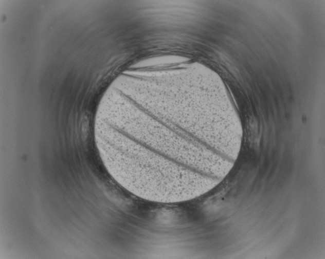 X0000088360412200706191223