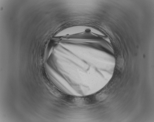 X0000088360413200706191223