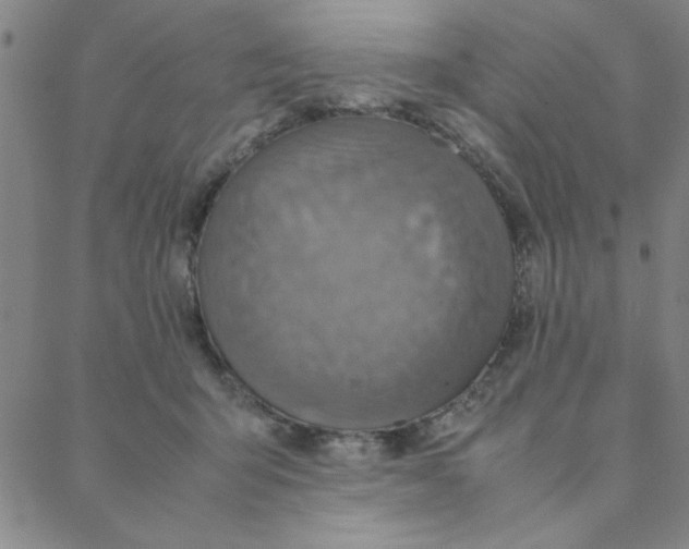 X0000088360415200706191223