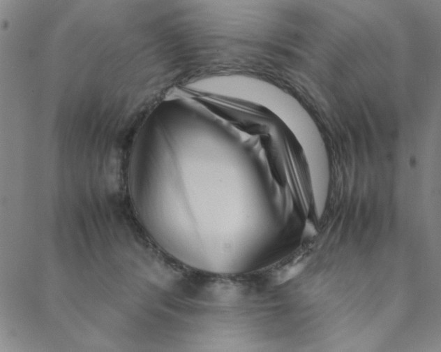 X0000088360416200706191223