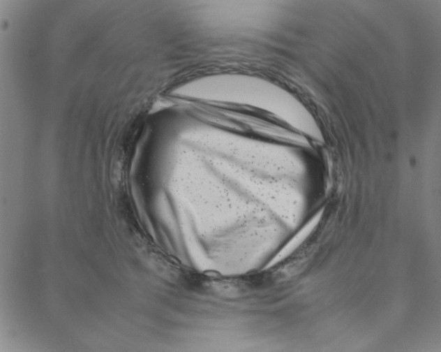 X0000088360417200706191223