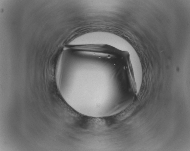 X0000088360421200706191223