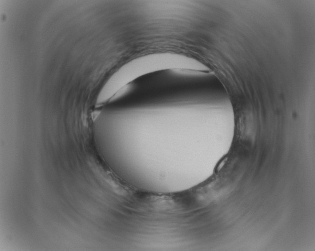 X0000088360424200706191223