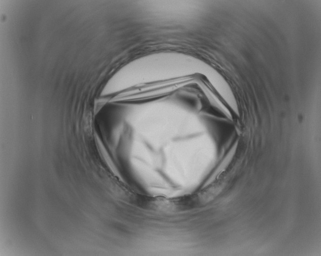 X0000088360425200706191223