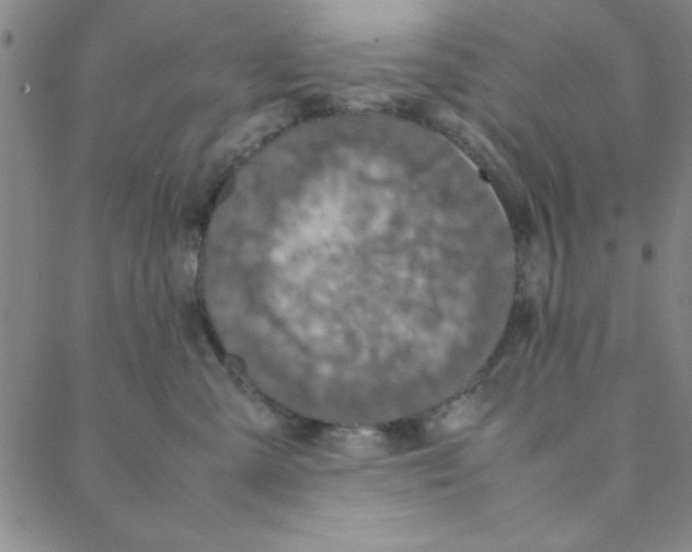 X0000088360427200706191223