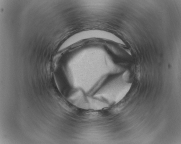 X0000088360428200706191223