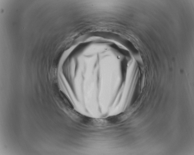 X0000088360429200706191223