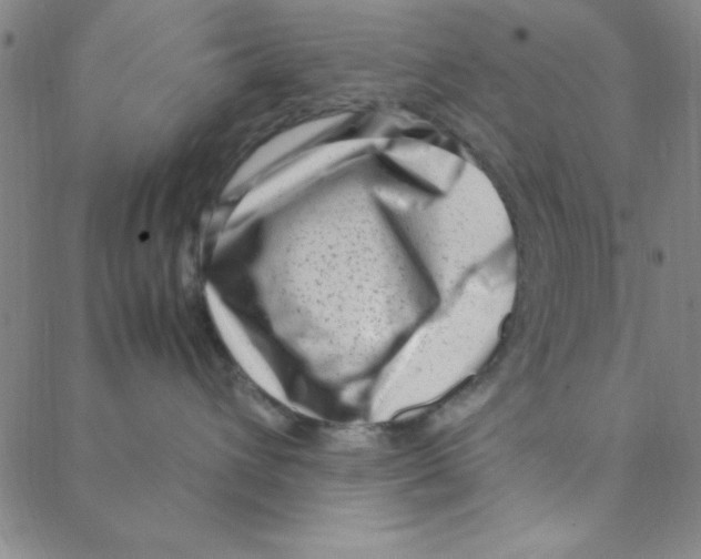 X0000088360432200706191223