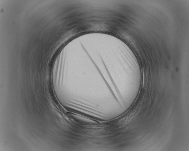 X0000088360435200706191222