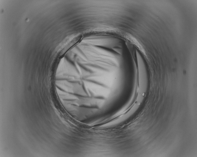 X0000088360436200706191222