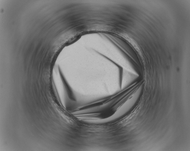 X0000088360437200706191222