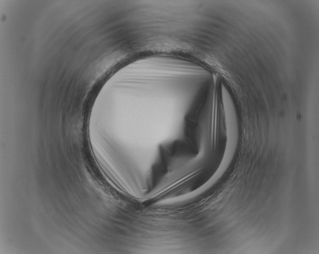 X0000088360440200706191222