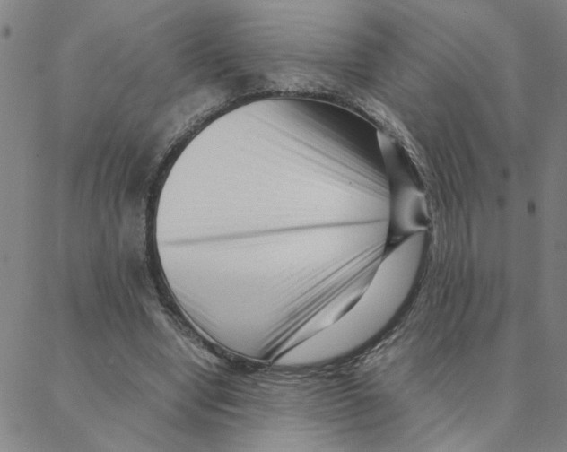 X0000088360442200706191222