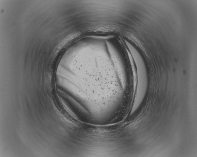 X0000088360444200706191222