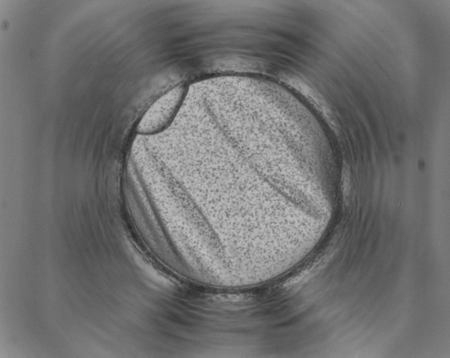 X0000088360445200706191222