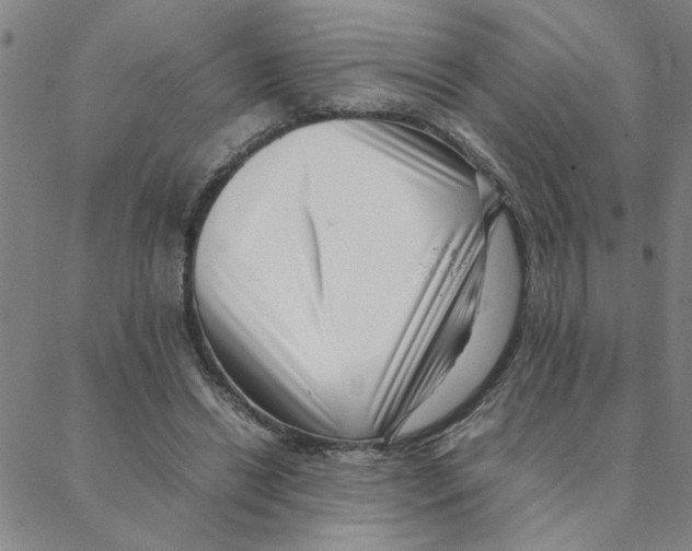 X0000088360446200706191222