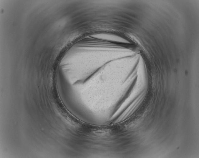 X0000088360447200706191222