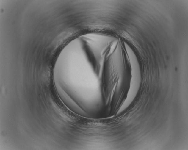 X0000088360448200706191222