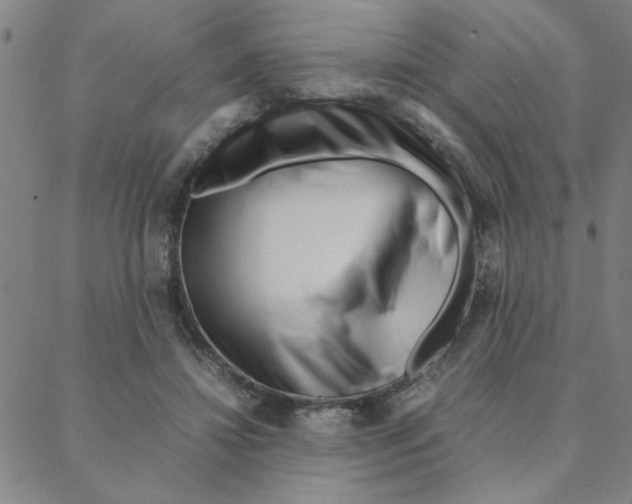 X0000088360452200706191222
