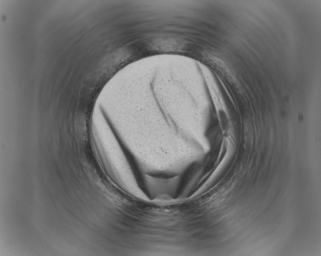 X0000088360453200706191222