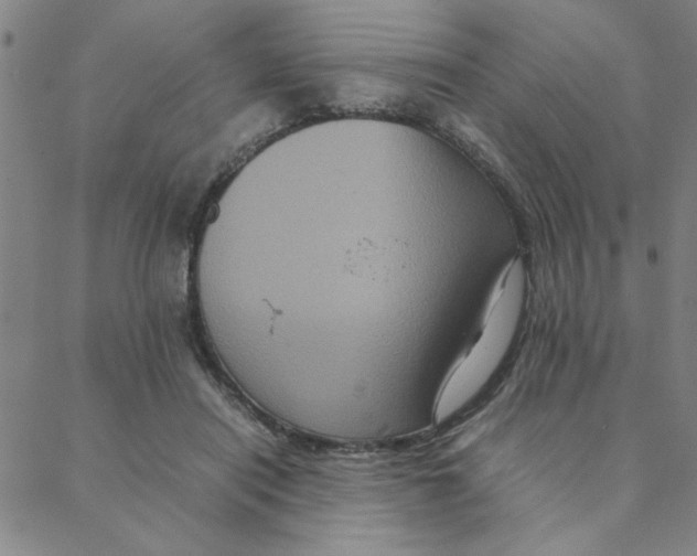 X0000088360454200706191222