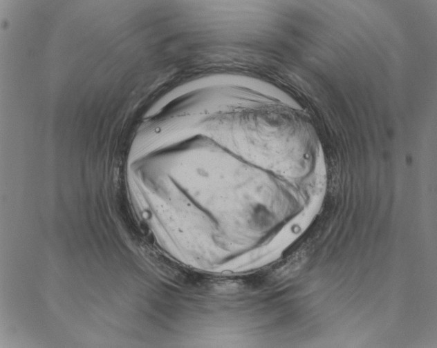 X0000088360456200706191222