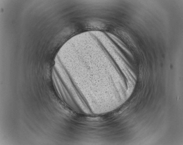 X0000088360457200706191222