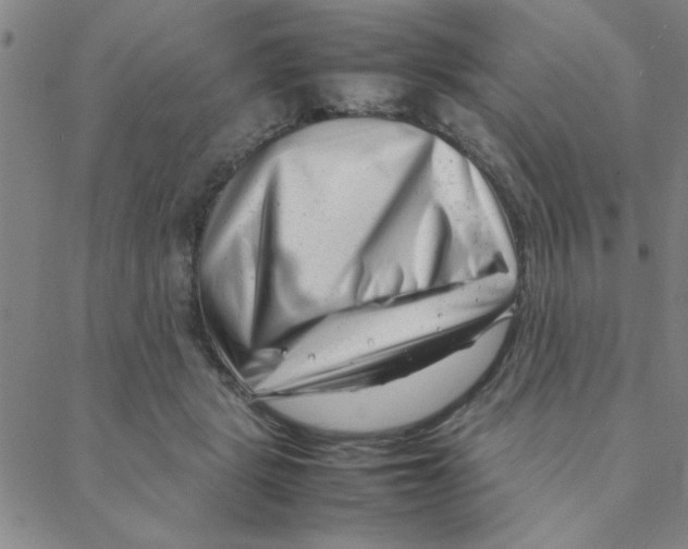 X0000088360461200706191222