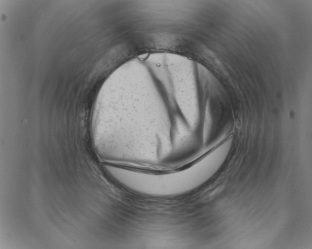 X0000088360462200706191222