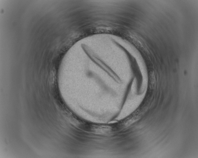 X0000088360463200706191222