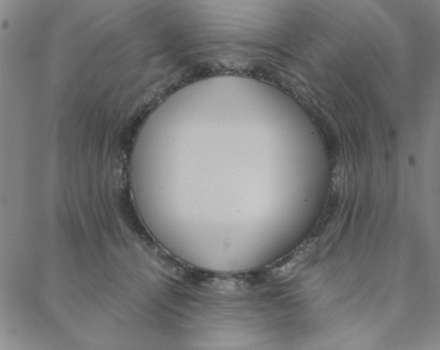 X0000088360464200706191222