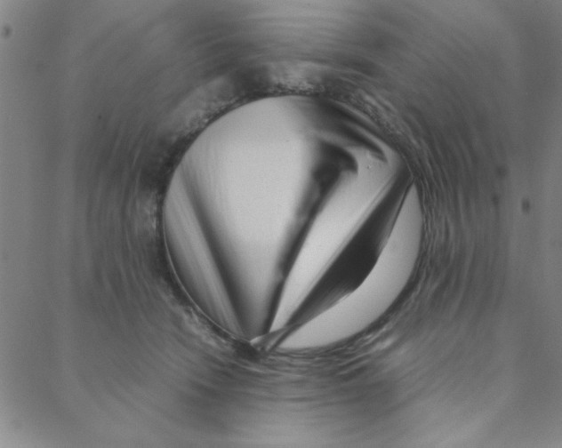 X0000088360466200706191222