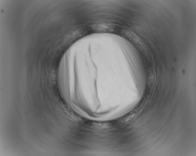 X0000088360469200706191223