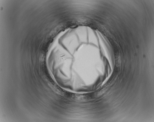 X0000088360472200706191223